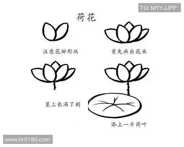 足球明星简笔画教程轻松绘制你心中的球场英雄